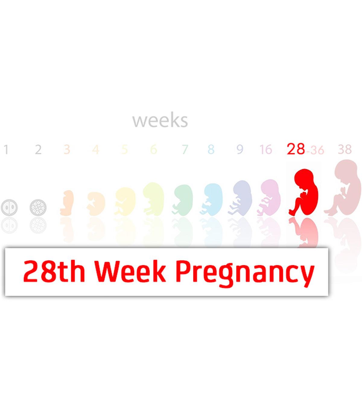 Pregnancy Symptoms Week By Week Chart