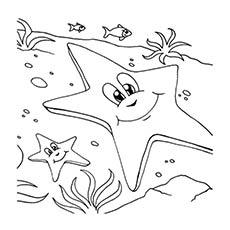Starfishes on the seashore, Starfish coloring pages Starfishes on the seashore, Starfish coloring pages