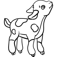 Top 25 Free Printable Preschool Coloring Pages Online