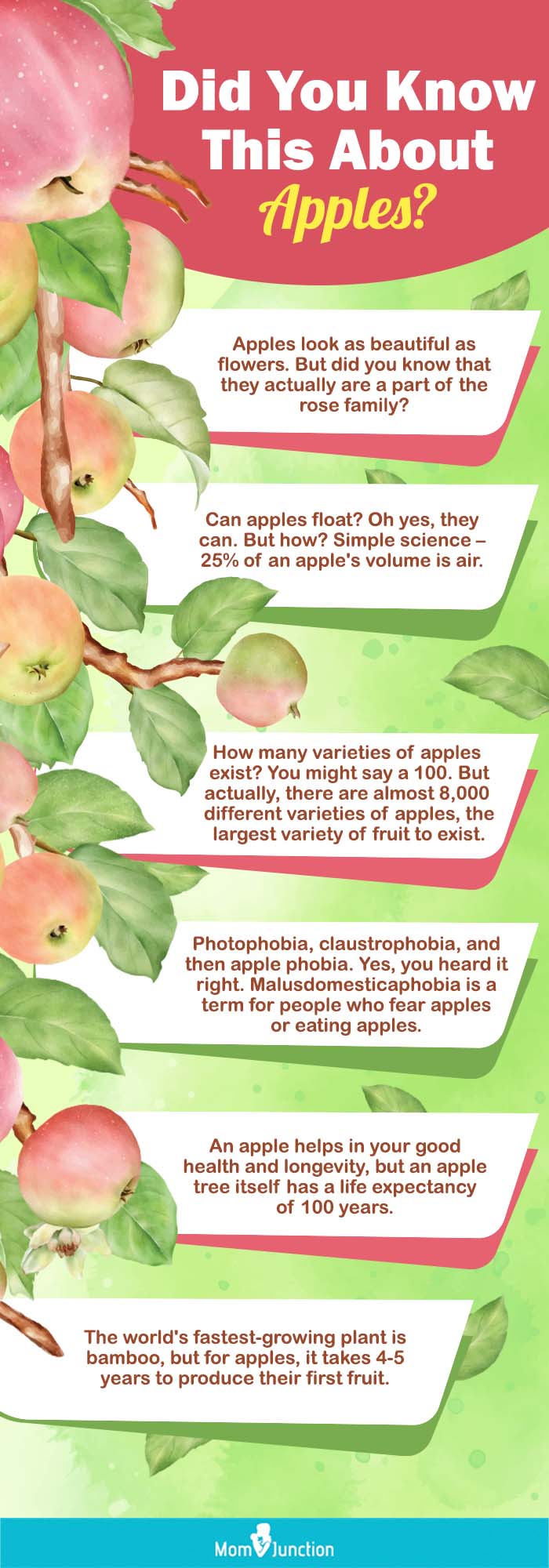 Early Fuji Apples Information and Facts