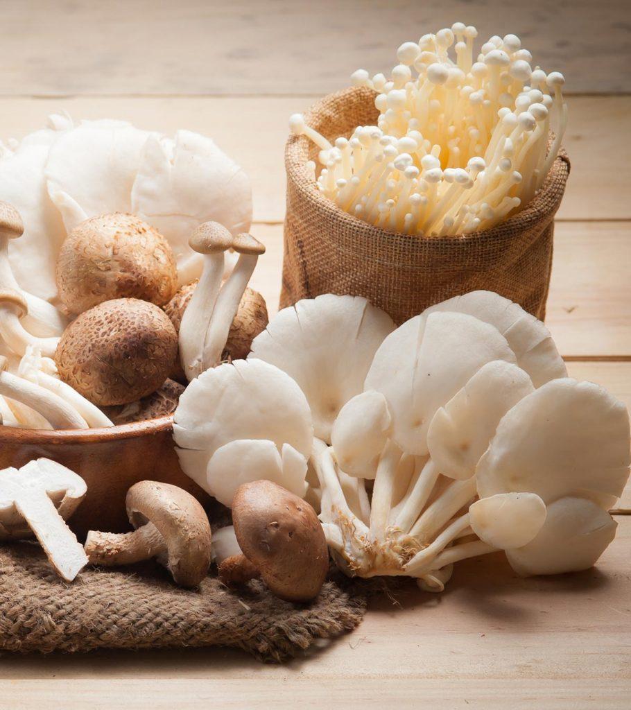 Can You Eat Mushrooms During Pregnancy?