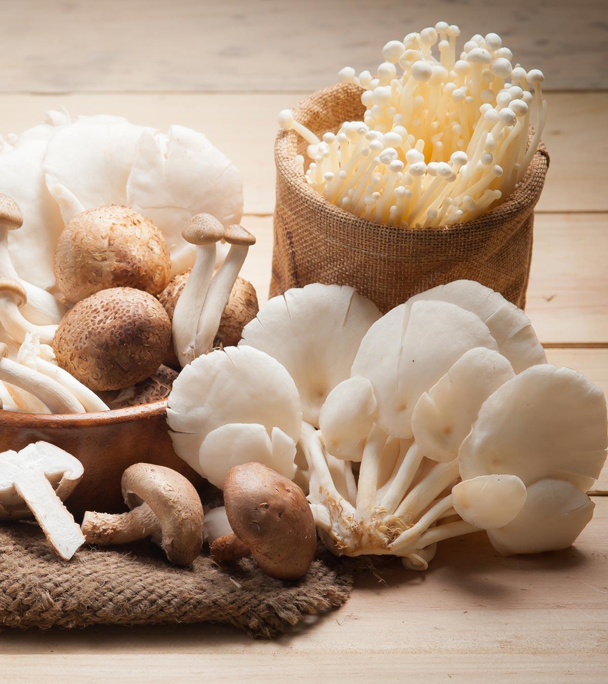 Different kinds of mushrooms