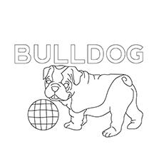 The-Bulldog-coloring-page-16