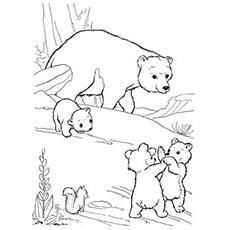 The mother brown bear with her cubs coloring pages