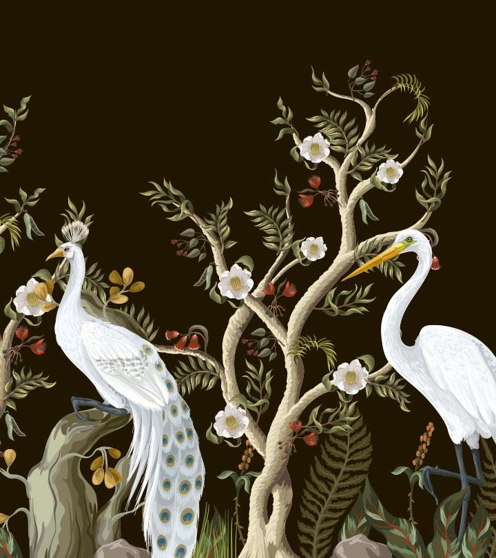 Peacock And The Crane Story For Kids
