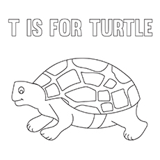 T is for turtle coloring page