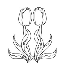 Tulips, spring coloring page