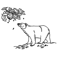 The brown bear sniffing honey coloring pages