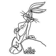 top 10 free printable rabbit coloring pages online
