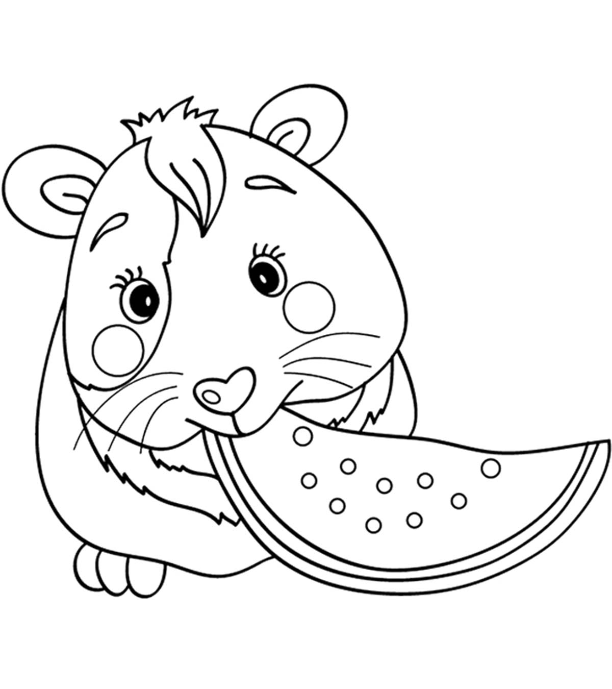 Top 25 Guinea Pig Coloring Pages For Your Toddlers
