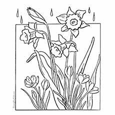 Flowers blooming in spring coloring pages Flowers blooming in spring coloring pages