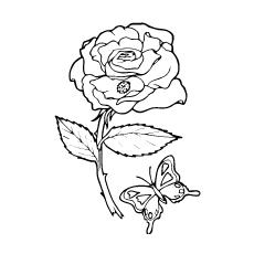 Top 25 Free Printable Beautiful Rose Coloring Pages for Kids