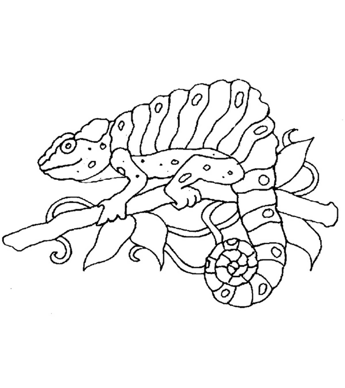 10 Best Chameleon Coloring Pages For Your Toddler_image