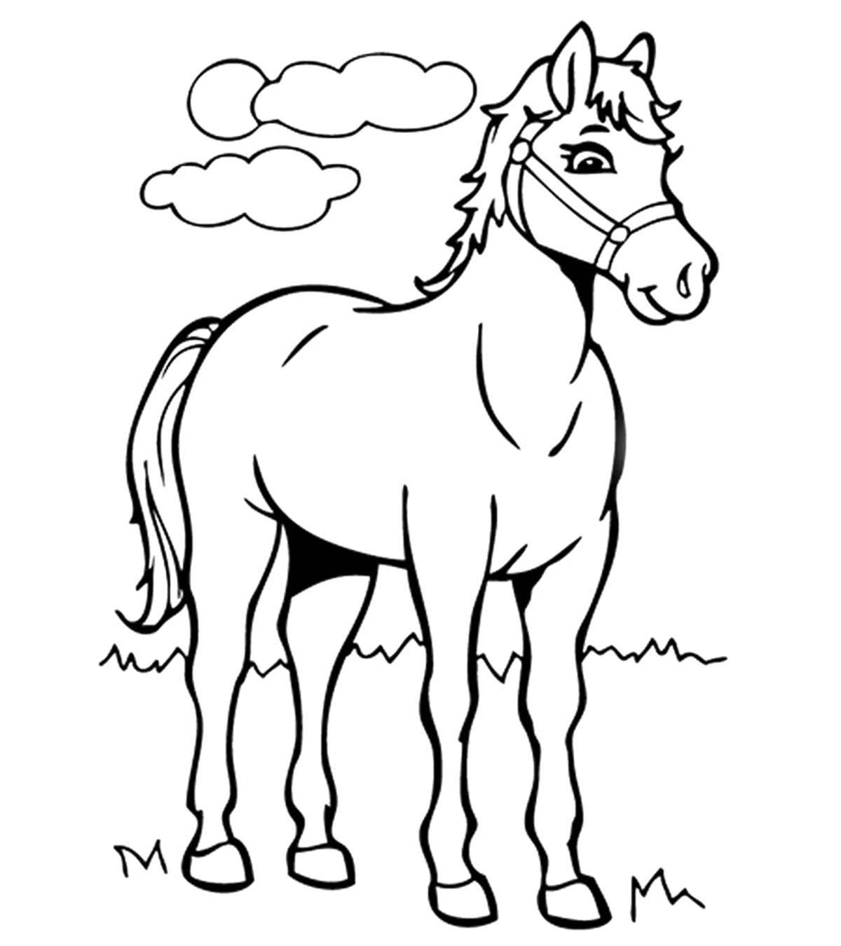 55 Best Horse Coloring Pages Your Toddler Will Love To Color_image