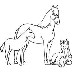 Featured image of post Printable Horse Pictures To Color : These free printable horse coloring pages.