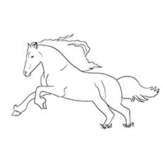 Black Stallion horse coloring page