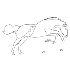 Bucking Mustang horse coloring page