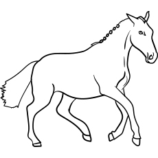 Danish Warmblood horse coloring page