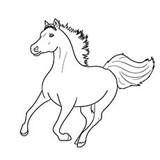 Dapple Grey Arabian horse coloring page