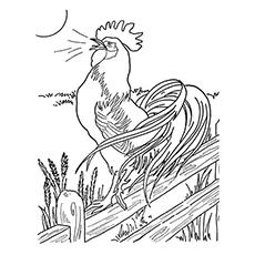 top 10 free printable rooster coloring pages online