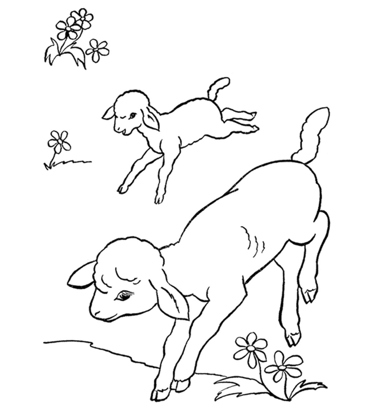 Top 10 Farm Coloring Pages Your Toddler Will Love To Color