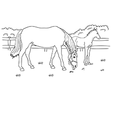 Grazing Mare horse coloring page