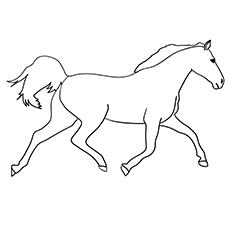 Holsteiner horse coloring page