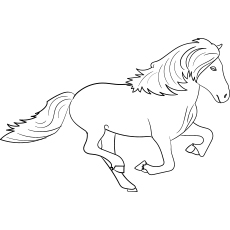 Icelandic horse coloring page