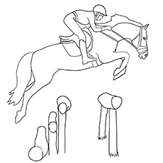 Irish Sport horse coloring page