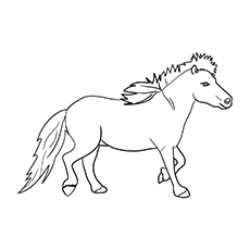 Miniature horse coloring page