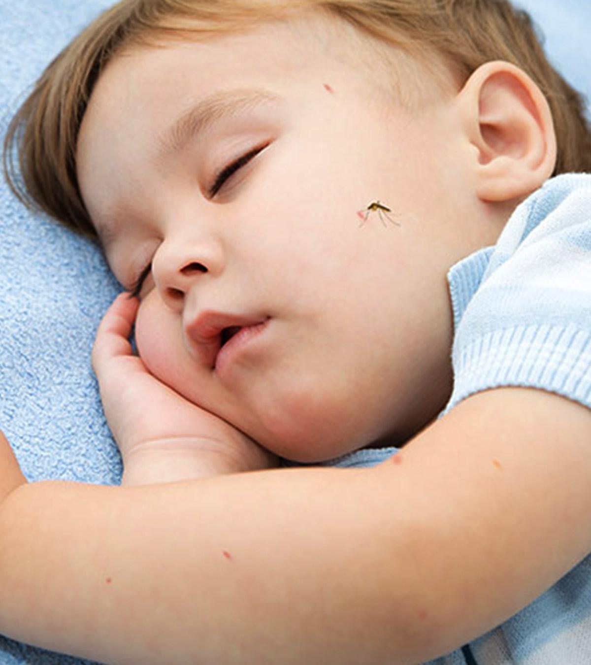 Mosquito biting to the toddler