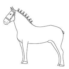 Percheron horse coloring page