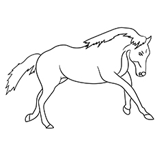 Quarter horse coloring page