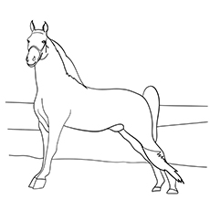 Tennessee Walking horse coloring page