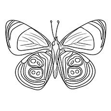 top 50 free printable butterfly coloring pages online
