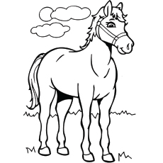 American Saddlebred horse coloring page