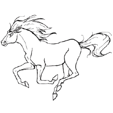 Andalusian horse coloring page