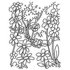 The Blooming flowers coloring page