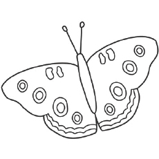 Beautiful Buckeye Butterfly coloring page