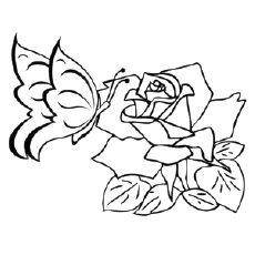 Butterfly On The Rose coloring page