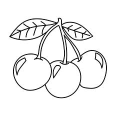 Bunch of three, cherry coloring page