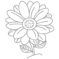 Daisy flower coloring page