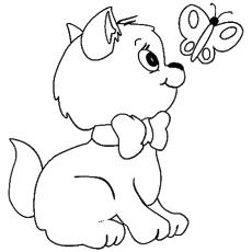 Little Kitten Seeing the Butterfly coloring page