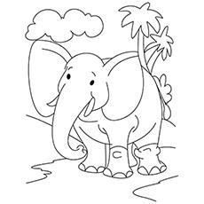 Majestic elephant coloring page