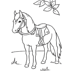 Samson horse in a garden coloring page