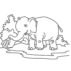 Elephant playing in the riverbed coloring page