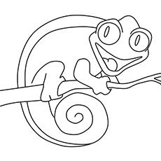 Chameleon Coloring Pages Free Printables Momjunction