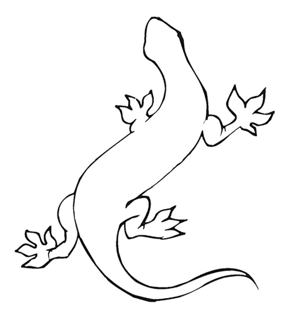 Top 10 Lizard Coloring Pages For Your Little Ones