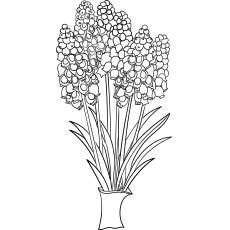Lupine flowers coloring page