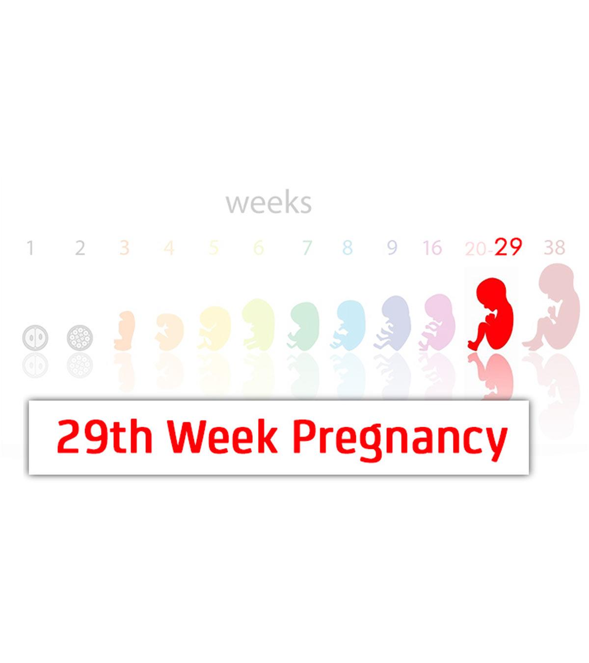 Symptoms Of 29 Weeks Pregnant Woman